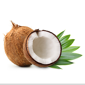 coconuts_our-products_category