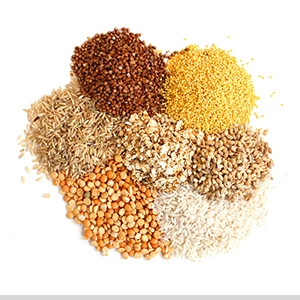 grains_our-products_category