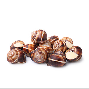 snails_our-products_category